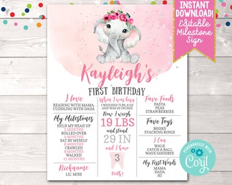 Editable Girls First Birthday Milestone Sign, Printable Pink Elephant Birthday Milestone Sign, Instant Download 1st Birthday Milestone Sign