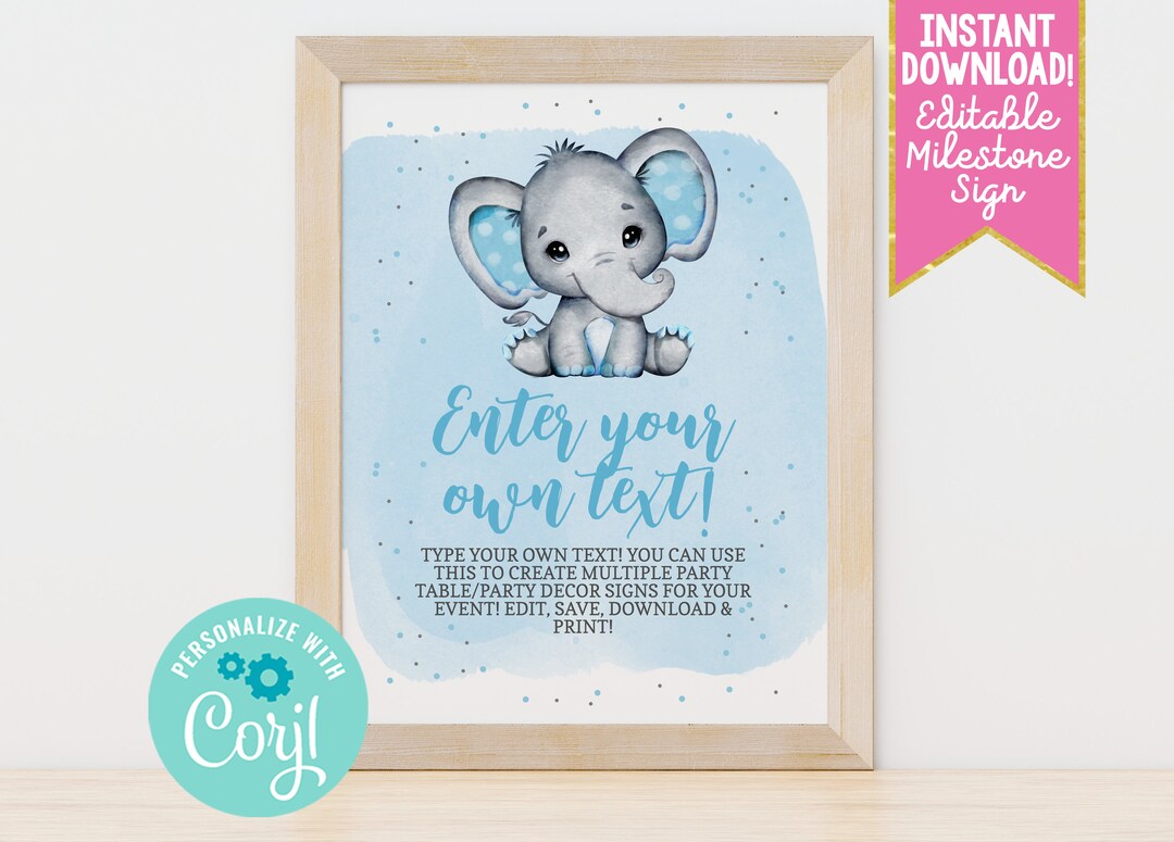 Instant Download Editable Party Sign Template, Printable Blue Boys ...