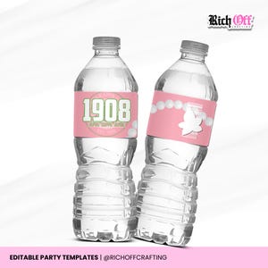 AKA Party Favors, Sorority Templates, Chip Bag, Water Label, Candy Wrapper, Canva Design image 6