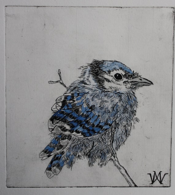 Items similar to Original Handcolored Etching Print. Bird Etching, Baby