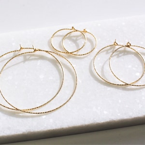 Sparkle Hoop Earrings, Hoops, Earrings, Earring for Women, Silver or Gold Hoop Earrings, Gift for Her, Classic Hoop Earrings, Thin Hoops image 1