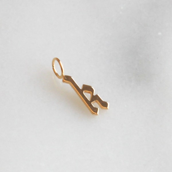 14kt Gold Filled Gothic Letter Charms, Add-On Charms, Personalized Custom Pendant Initial Removable Slide On Charm Only, The Silver Wren