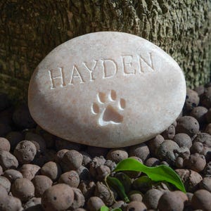 May include: A light pink, oval-shaped stone with the name "HAYDEN" engraved on it. A paw print is also engraved on the stone.