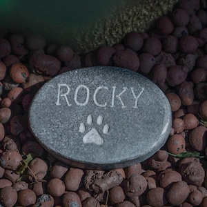 Peut inclure: Pierre ovale grise gravée avec le nom "ROCKY" et une empreinte de patte blanche. Entourée de petits galets brun-rouge, elle évoque un cadre extérieur, idéal pour un animal de compagnie.