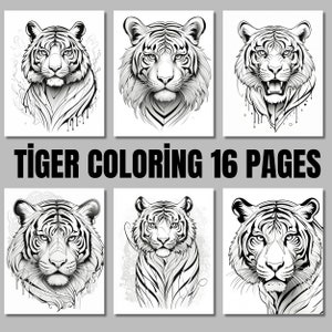 Majestic Tiger Coloring Book for Adults | 16 Detailed A4 Pages | Professional Quality