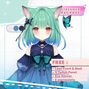 Benutzerdefiniertes VTuber-Modell, VTuber-Design, VTuber-Modell, VTuber-Asset, VTuber-Promis, Takel-Promis, Live2D-Promise, Live2D-Modell