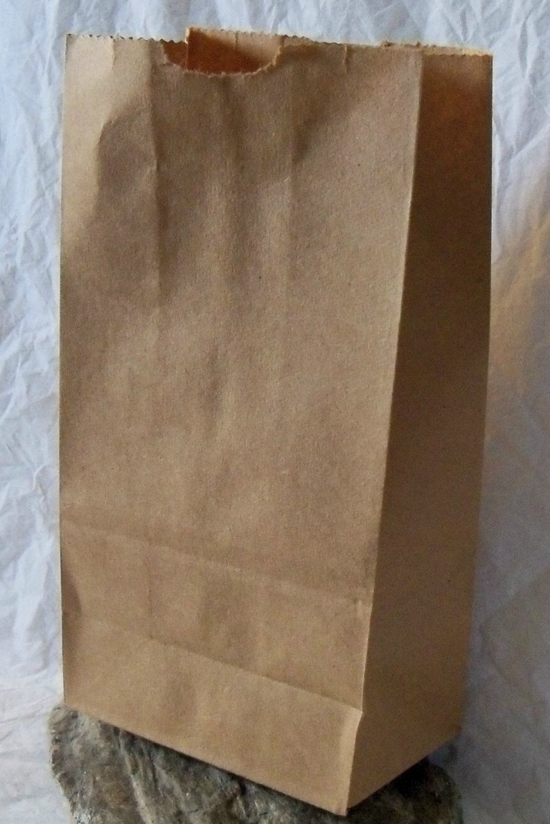 Cute Penny Candy Bags Heavy Duty Paper Bags. Brown Kraft Etsy