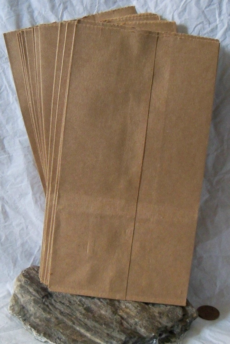 Cute Penny Candy Bags Heavy Duty Paper Bags. Brown Kraft Etsy