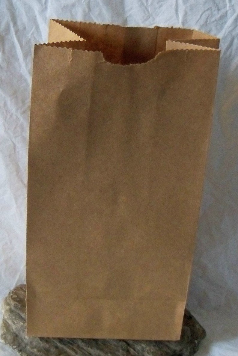 AMD Nexus 100 6" X 6" Brown Strung Kraft Paper Food Bags For Groceries