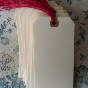 May include: A stack of cream-colored rectangular tags with a red string attached. Each tag has a reinforced eyelet. The tags are stacked on a floral patterned surface.