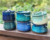 Medium sized Hanging Pottery House planter (ships free)