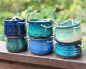Medium sized Hanging Pottery House planter (ships free)