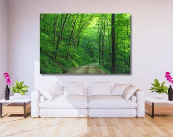 Lush Green Forest Canvas Art Print: Landscape Path, Nature Wall Decor