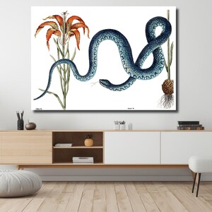 Könnte beinhalten: Ein Vintage-Botanischer Druck mit einer detaillierten Illustration einer blauen Schlange mit gemustertem Körper, zusammen mit orangefarbenen und grünen floralen Elementen. Das Kunstwerk ist vor einem weißen Hintergrund platziert.