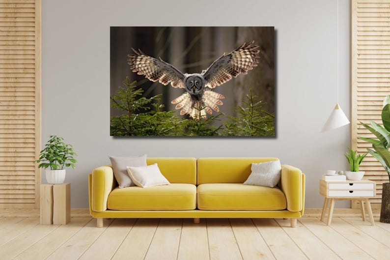 Grey Owl Canvas Print | Forest Spruce Tree Wall Art - Etsy