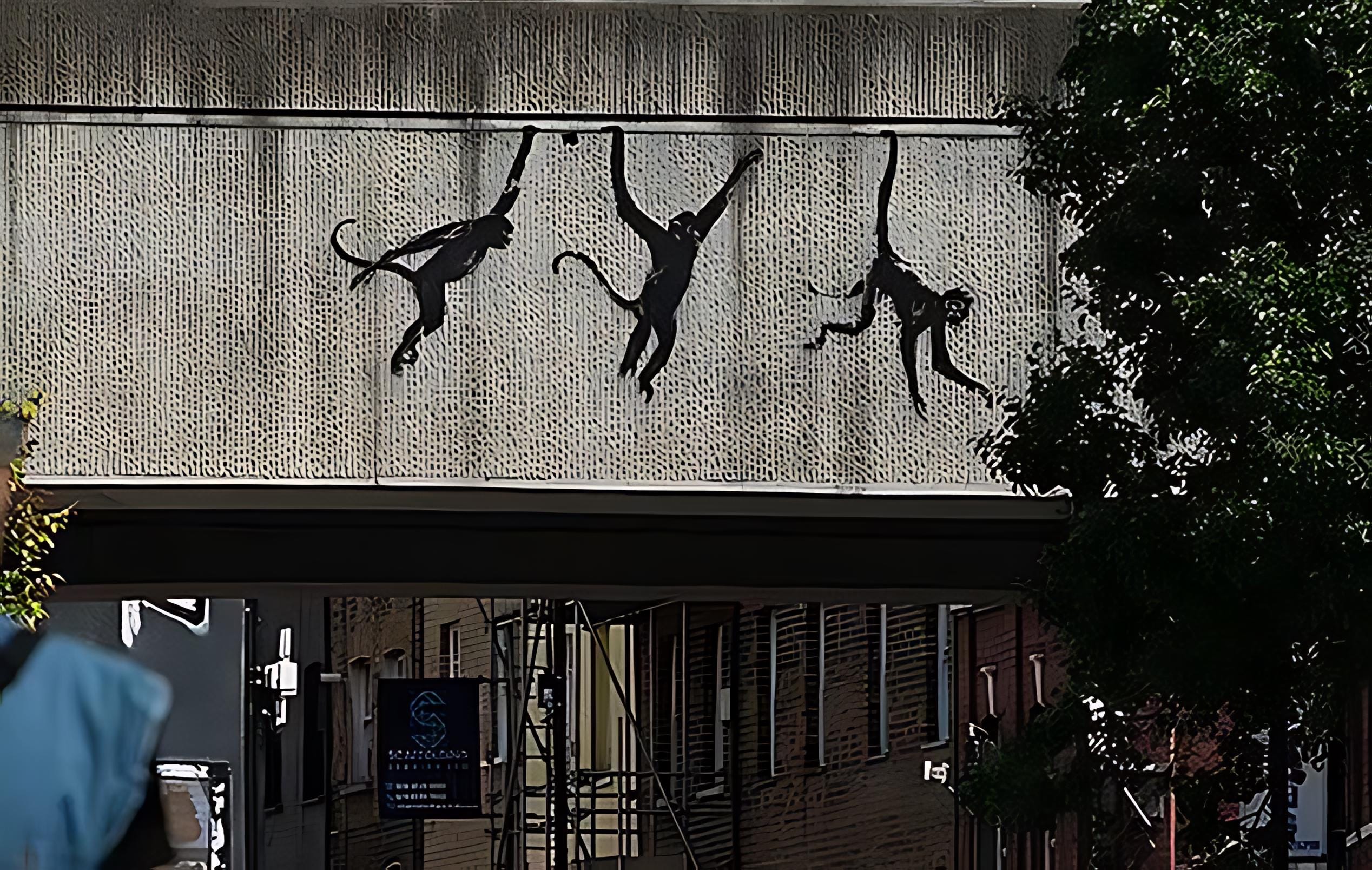 Banksy Canvas Print, Swinging Monkeys, Giclee Print on Canvas, Various ...