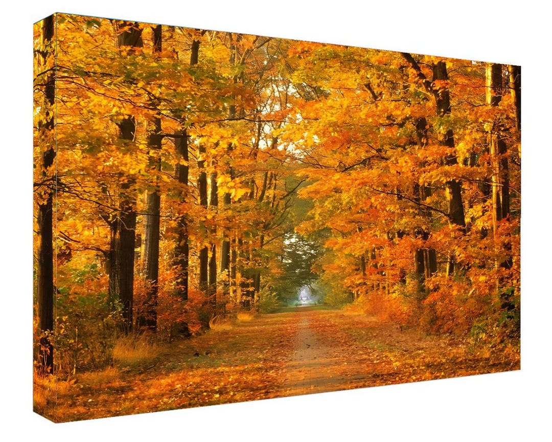 Autumn Trees Canvas Print: Colorful Fall Forest Wall Art - Etsy