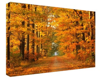 Autumn Trees Canvas Print: Colorful Fall Forest Wall Art