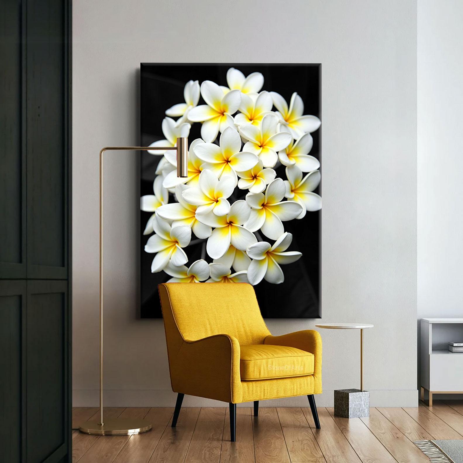 Black and White Plumeria Canvas Print: Floral Wall Art - Etsy