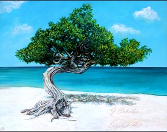 Fofoti Tree in Aruba, Instant Print Art, Digital Download, Beach, Caribbean, Ocean, Seascape, Sun, Sand, Vacation, Landscape