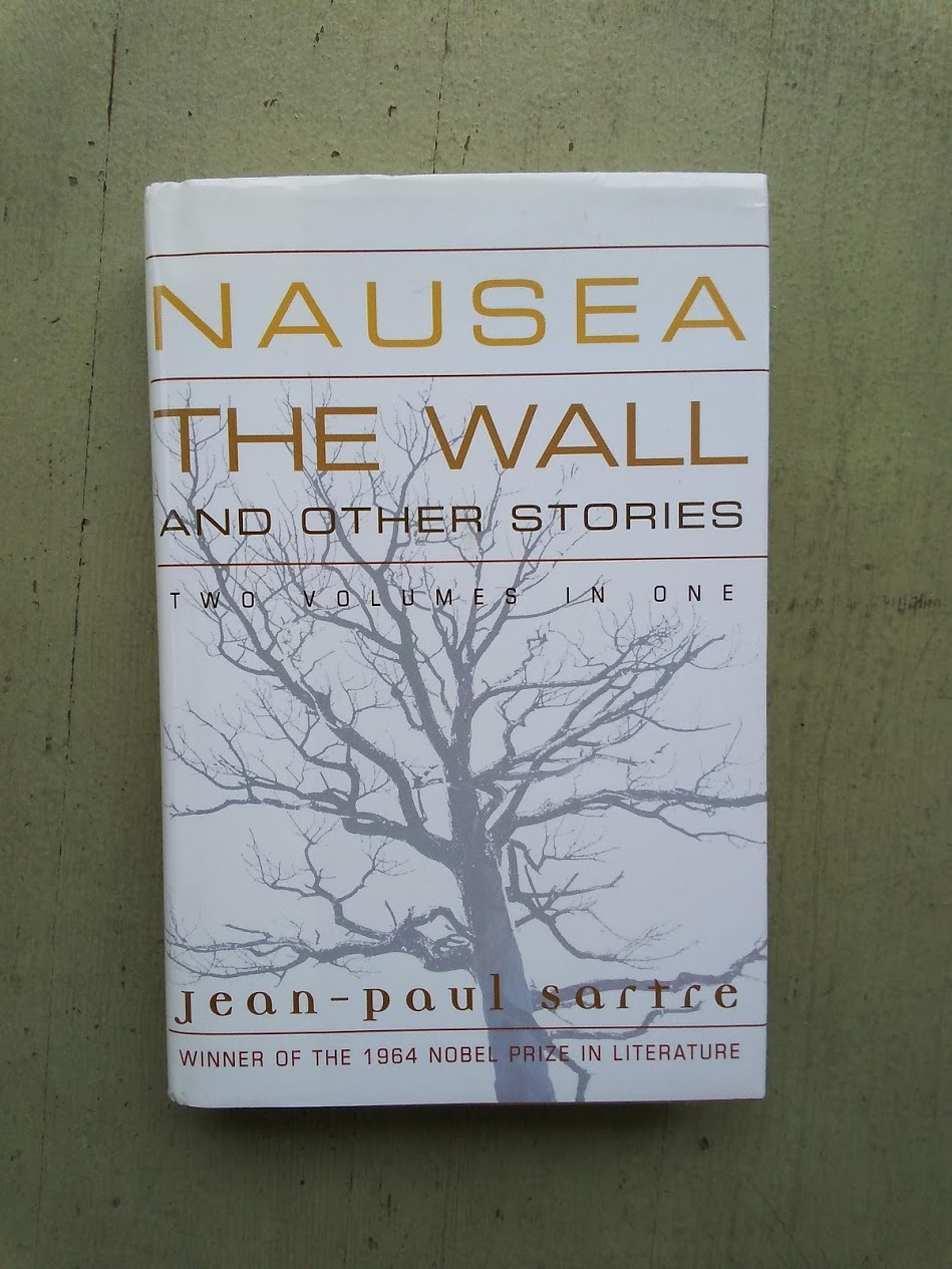 nausea the book nausea the book