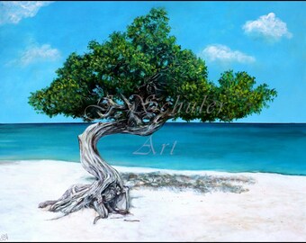Fofoti Tree Aruba: Original Acrylic Seascape Painting (22" x 28")