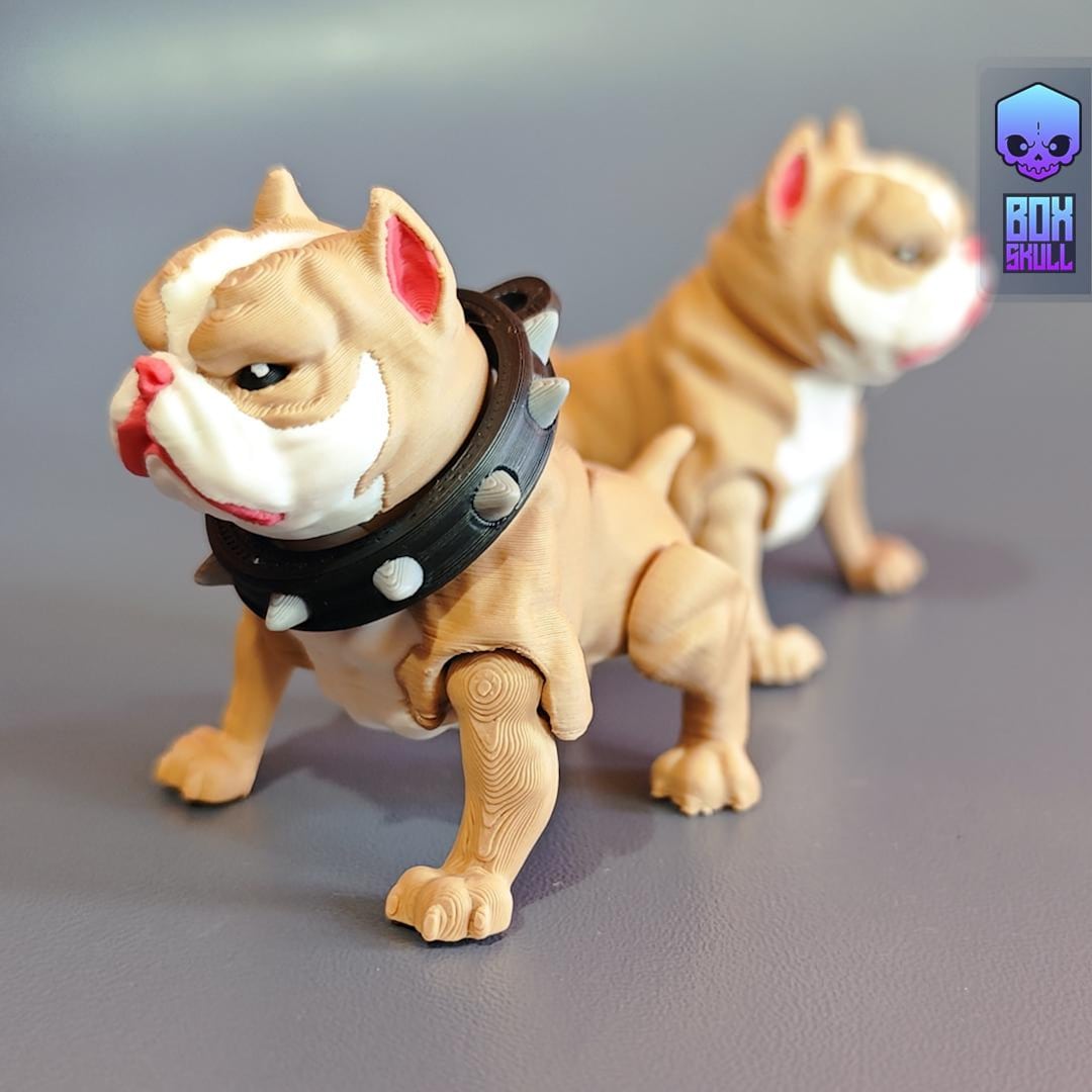 American Bully - Pet -BOXSKULL3D. STL File for 3D Printing