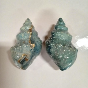 Puede incluir: Dos conchas azules y blancas con detalles dorados. Las conchas son de color azul claro con motas blancas y una franja dorada en una de las conchas.