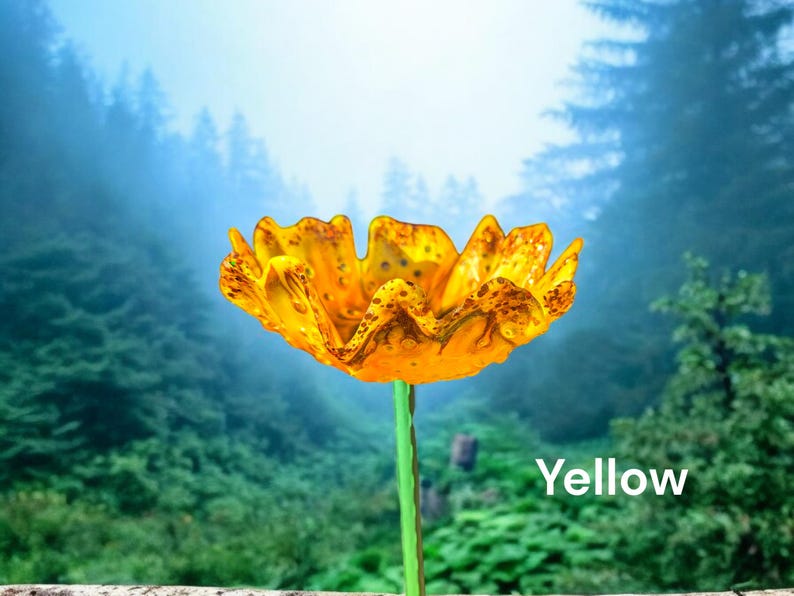 Pu&ograve; includere: Un fiore giallo con un aspetto unico, testurizzato e arricciato. Il fiore &egrave; a fuoco su uno sfondo sfocato di alberi verdi e cielo blu.
