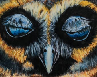 Watercolor Owl Close Up- Blue and Yellow