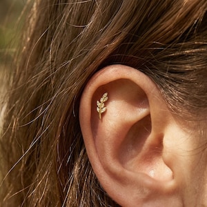 May include: A gold-colored ear piercing in the shape of a leaf with small, clear gemstones. The jewelry is placed on the upper ear cartilage. The background is blurred, with a focus on the ear and the jewelry.
