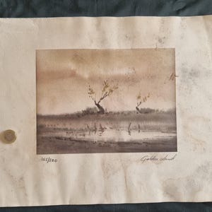 Puede incluir: Una impresión en acuarela de tonos sepia sobre papel texturizado que representa un paisaje con dos árboles dispersos cerca de un cuerpo de agua. La impresión está numerada 165/500 y titulada Golden Land. Una moneda circular está a la izquierda.