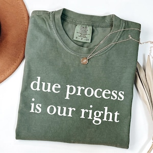 Comfort Colors® Due Process is Our Right shirt, Anti-Authoritarian, Social Justice, Constitutional Rights, Political Human Rights Protest