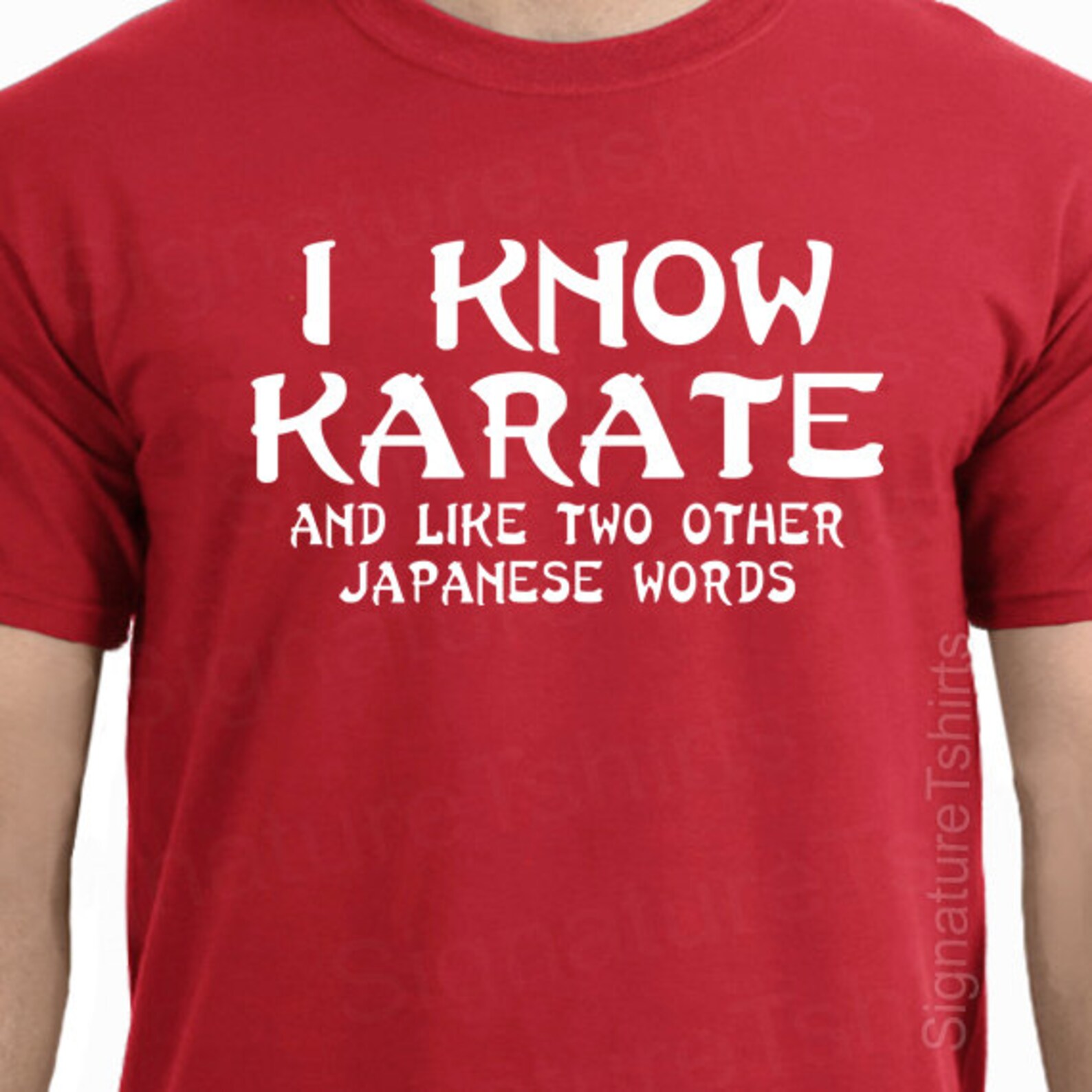 Christmas Gift I Know Karate Mens Womens T-Shirt funny martial image 0.