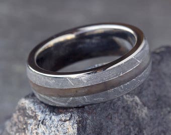 Petrified Wood & Meteorite Men's Wedding Ring Crafted in Titanium