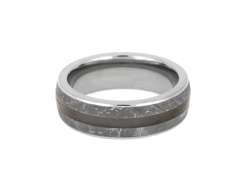 Petrified Wood & Meteorite Men's Wedding Ring Crafted in | Etsy