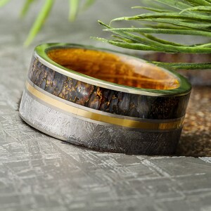 Meteorite and Whiskey Wedding Band