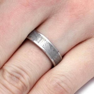 Gibeon Meteorite Ring in Titanium-1159 - Jewelry by Johan