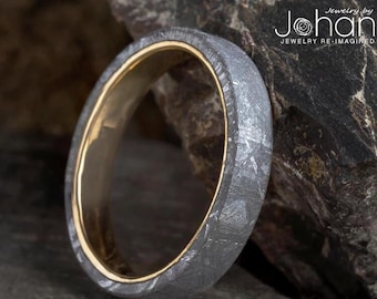 May include: A silver ring with a gold band. The ring is made of meteorite material and has a unique, textured surface.