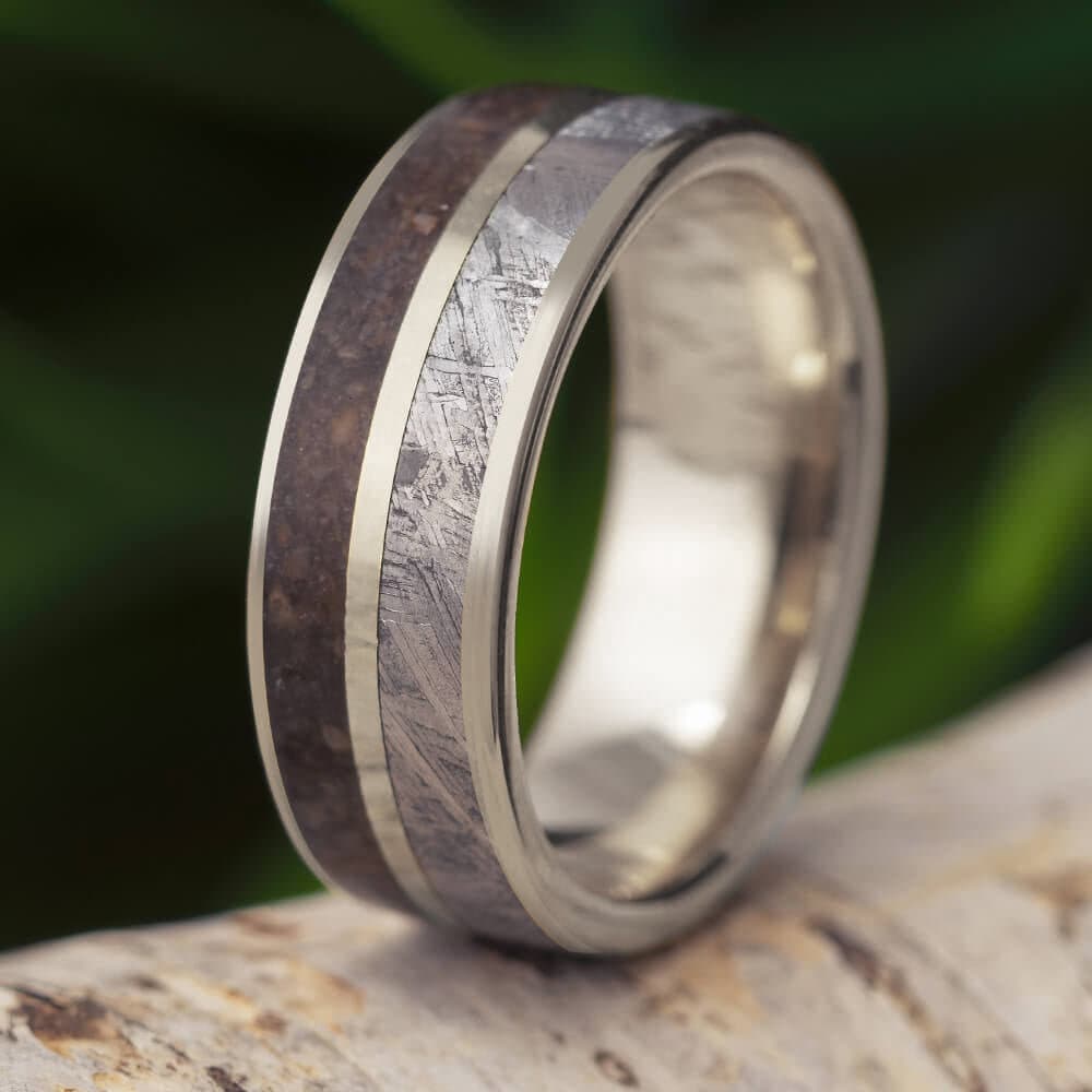 Meteorite and fossil ring deals