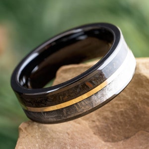 Black Ring with Meteorite, Fossil, and Gold Pinstripe