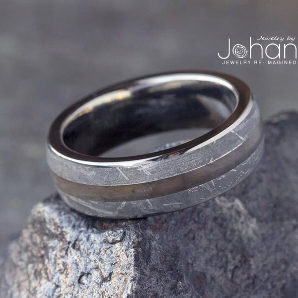 Petrified Wood & Meteorite Men's Wedding Ring Crafted in Titanium