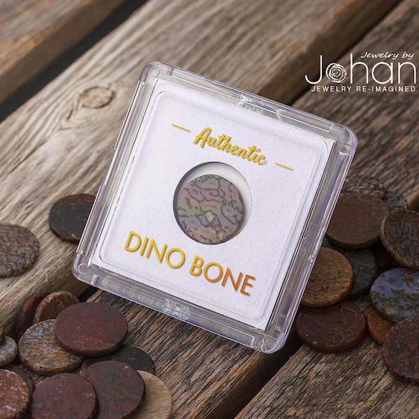 Dinosaur Bone Fossil Coin, Genuine Fossil Specimen in Collector's Case, Each One is Unique, Collect Different Colors and Patterns