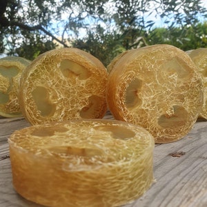 May include: Close-up of several round, light brown loofah soaps. The soaps have a natural, textured appearance with visible fibers. The background features a blurred view of a tree and sky, suggesting an outdoor setting. The soaps are arranged on a wooden surface.