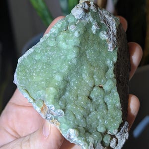 Puede incluir: Una mano sostiene un trozo de cristal de prehnita en bruto, de color verde claro. La superficie de la piedra tiene un aspecto burbujeante y texturizado. Los bordes de la piedra son de un color gris más oscuro, con algunas zonas de color marrón claro.