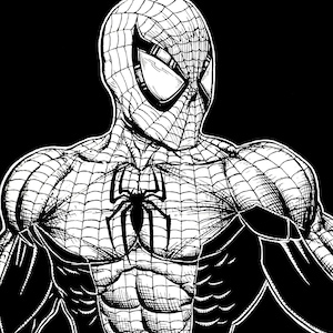 Spiderman traditional detailed drawing print 8.5&quot; x 11&quot;