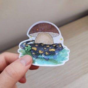 Sticker salamander, sticker vuursalamander, sticker schattige salamander, sticker dieren, kawaii sticker, decoratieve sticker, handgemaakte sticker