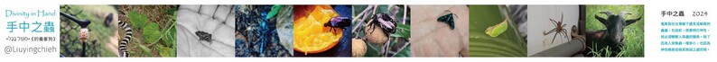 神性を手にした写真集 折り紙本 ヴィーガン傘祭り 羊 - 本・絵本 - 紙 グリーン