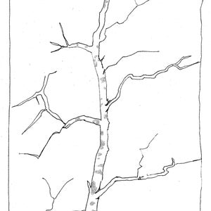 A Tree in Lengshuikeng 54 : Travel Sketch Book Art Zine Art Book Art Print image 5