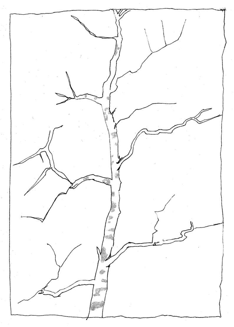 A Tree in Lengshuikeng 54 : Travel Sketch Book Art Zine Art Book Art Print image 5